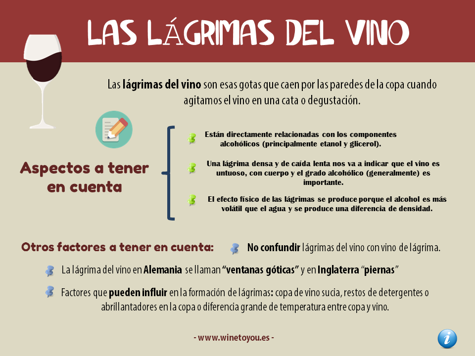 lagrimas-vino-infografia