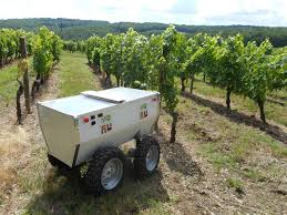 vinerobot para bodegas y viticultores