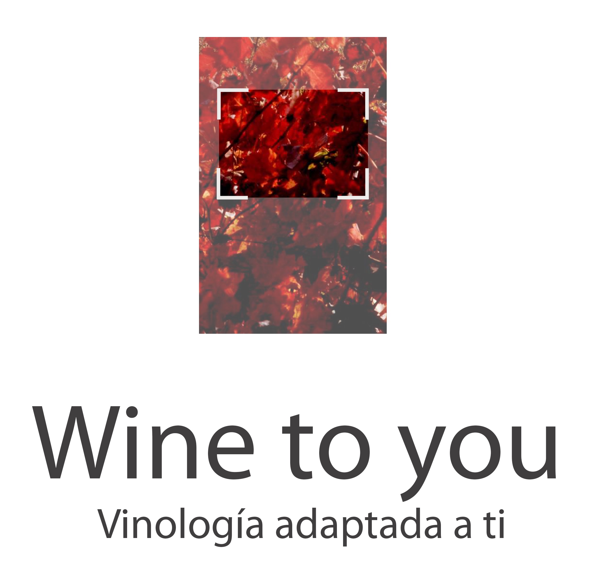 logo winetoyou
