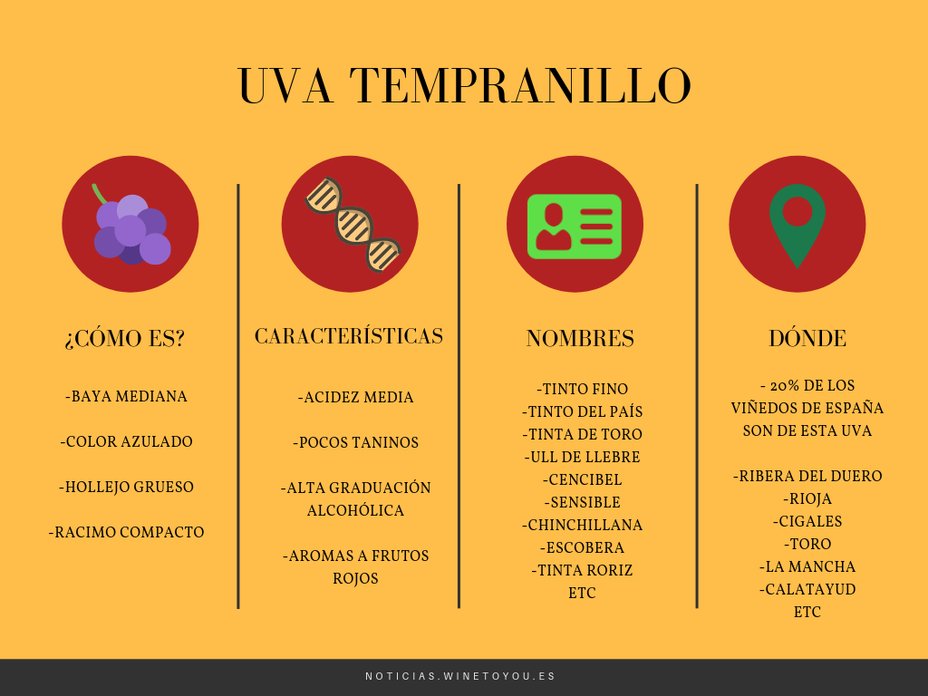 Uva tempranillo Wine to you