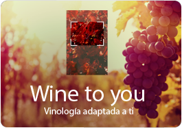 Tienda online de vino y enoturismo Wine to you