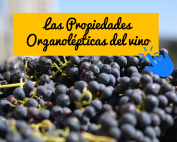 propiedades organolépticas del vino