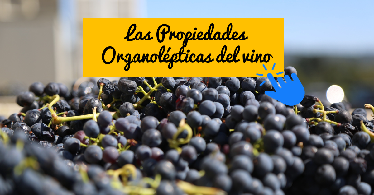 propiedades organolépticas del vino