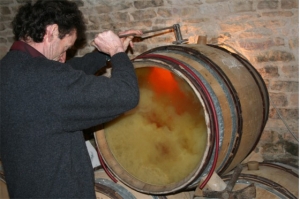 elaboración con lías del vino