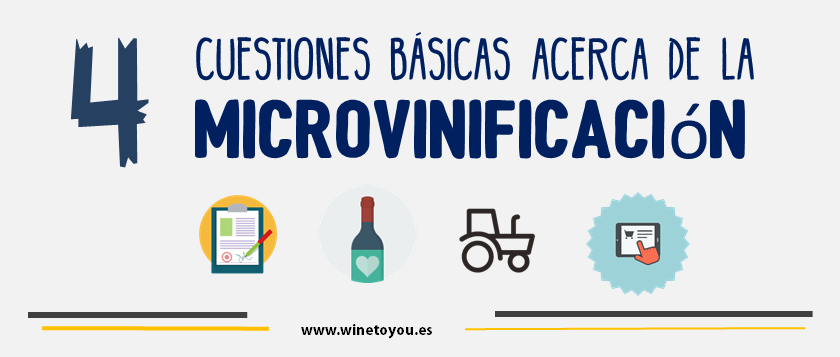 microvinificacion-vino-wine-to-you